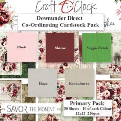 Savor the Moment Cardstock Primary Pack