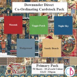 Toy Shop Cardstock Primary Pack