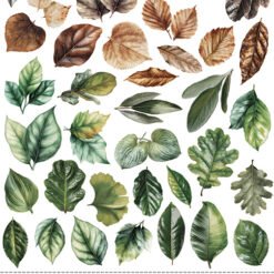 Alternative view of ALL Leaves Creative Extras