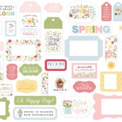 In Full Bloom Frames & Tags