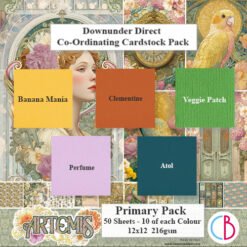 Artemis Cardstock Primary Pack