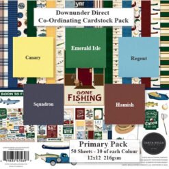 Gone Fishing Cardstock Primary Pack