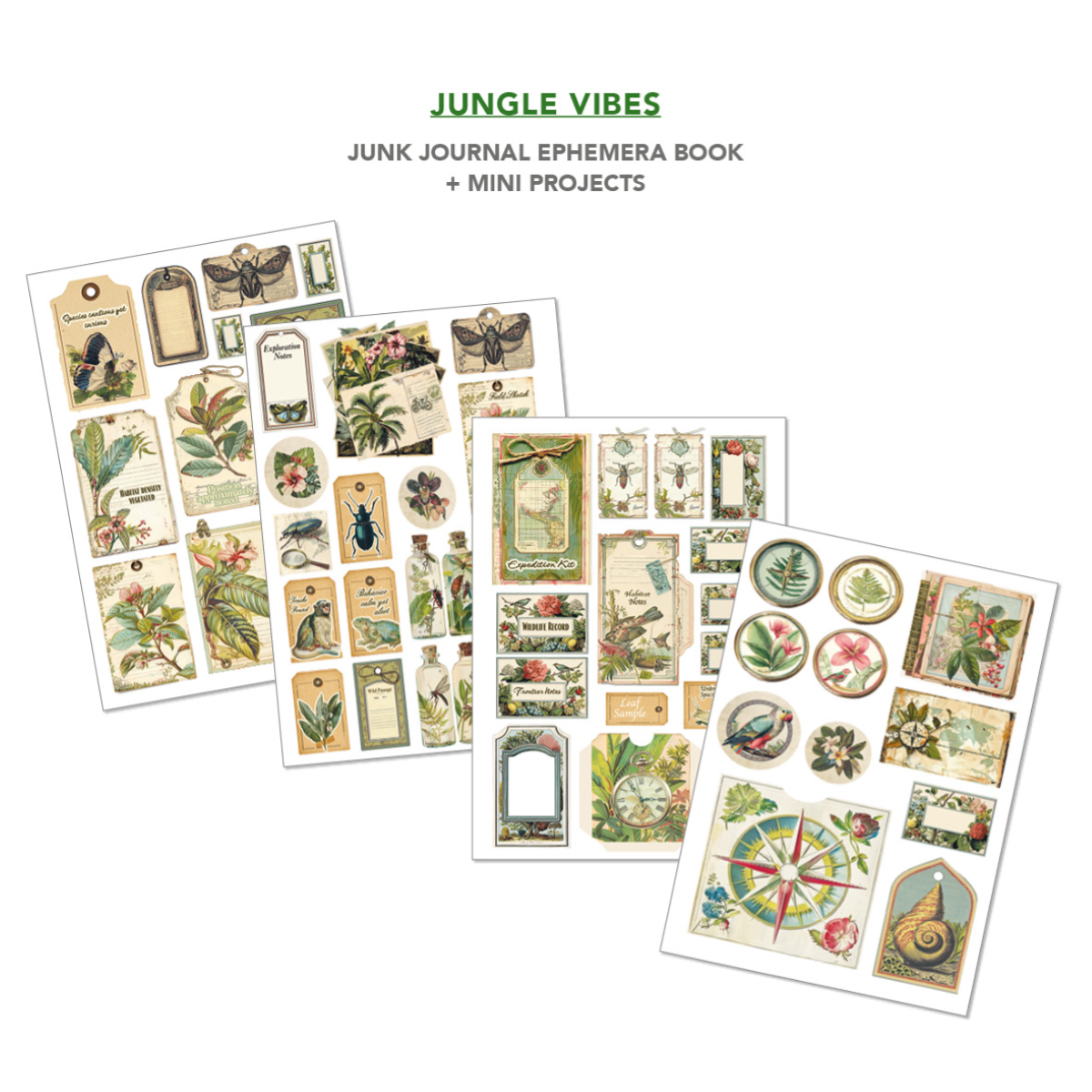 Ephemera Book Jungle Vibes A4 32/Pkg - Image 6
