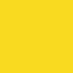 Printed Cardstock Daffodil Printed Cardstock 216 gsm