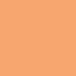 Printed Cardstock Apricot Printed Cardstock 216 gsm