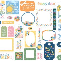 Alternative view of Dragonfly Frames & Tags