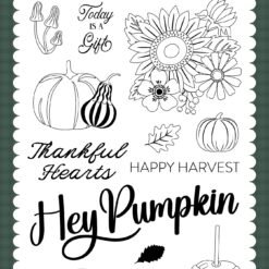 Feels Like Fall Hey Pumpkin Stamp Set