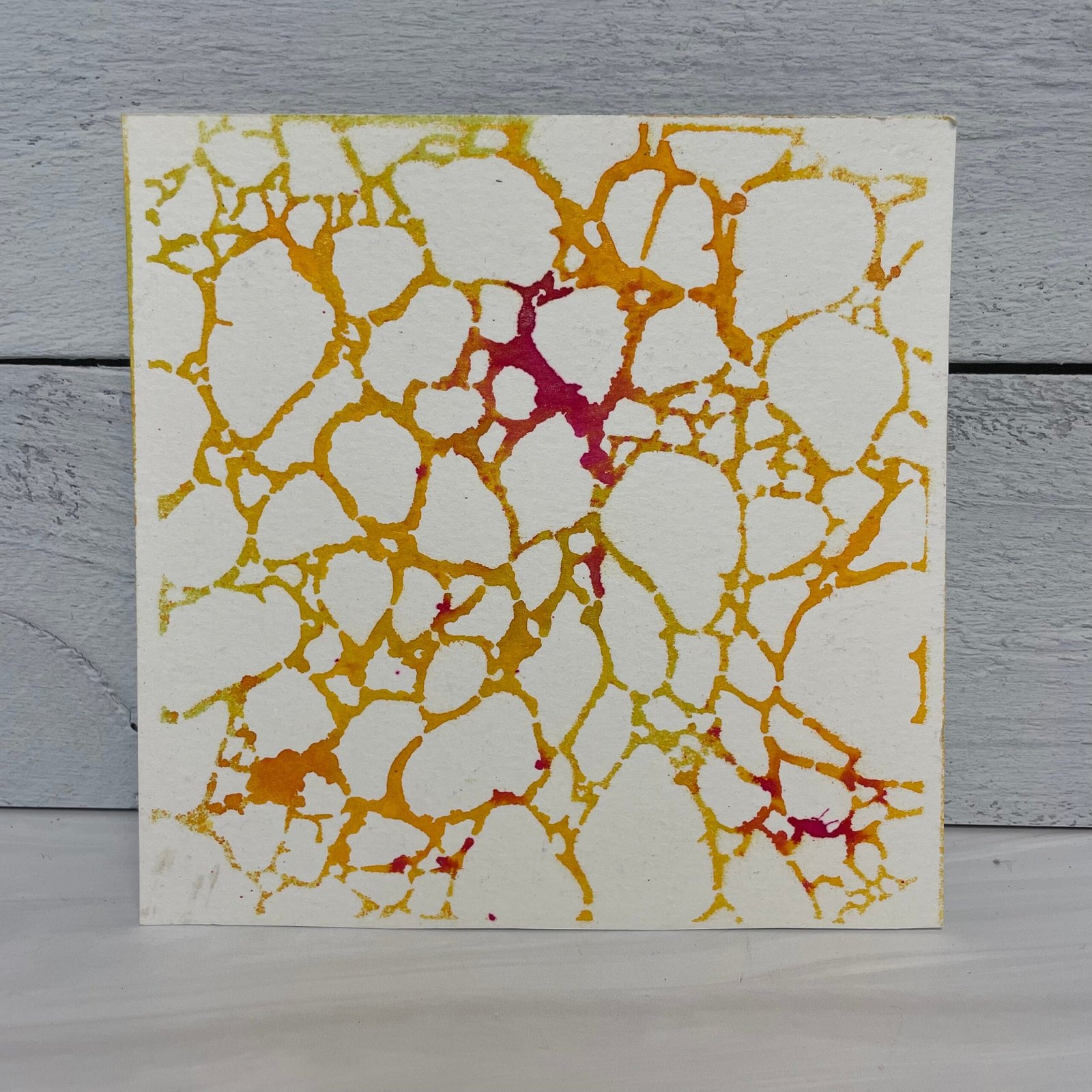 6x6 Stencils - Organic Matter - TCW564s