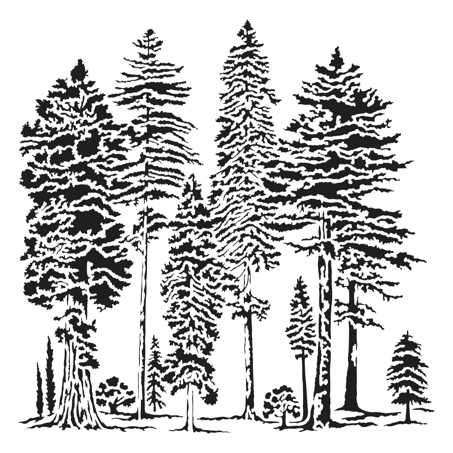 6x6 Stencils - Majestic Forest - TCW1040s