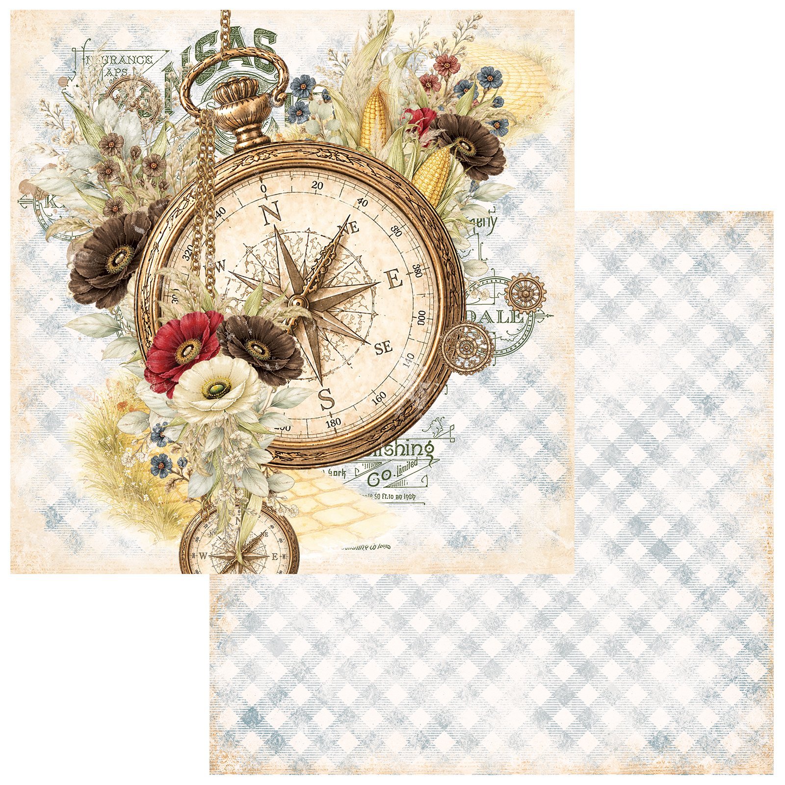 49 and Market - Chronicles of Oz Paper - Gently Guided
